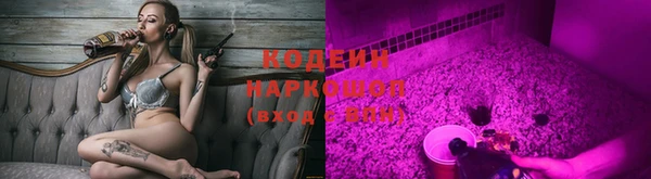 PSILOCYBIN Алзамай
