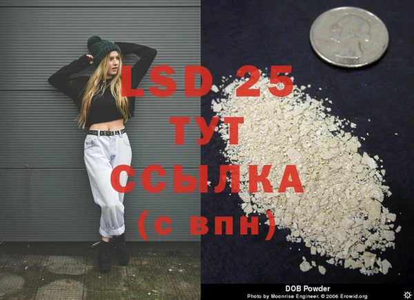 PSILOCYBIN Алзамай