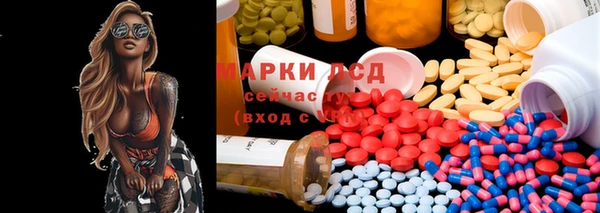 PSILOCYBIN Алзамай