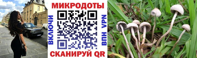 Галлюциногенные грибы Psilocybine cubensis  Харовск 